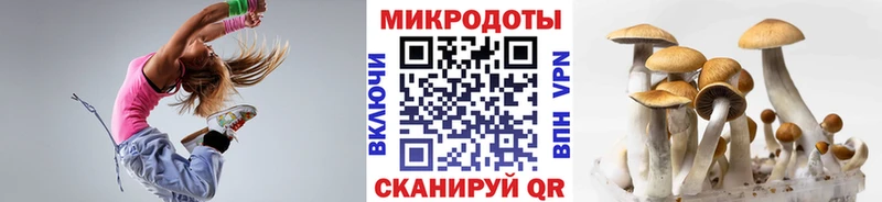 Галлюциногенные грибы GOLDEN TEACHER  Саки 